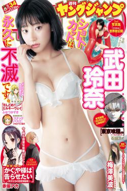 谁陷害了兔子罗杰