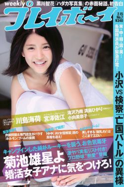 巡回检察组电视剧